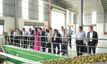 Bước ngoặt nâng tầm nông sản vùng dân tộc thiểu số Quảng Ngãi
