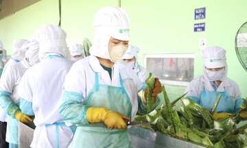 Gắn xây dựng thương hiệu với phát triển bền vững