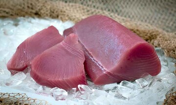 Cá ngừ Việt Nam tăng tốc xuất khẩu sang Phần Lan, mở lối vào Bắc Âu