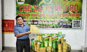 Cây chè xanh: 'Chìa khoá' thoát nghèo cho nông dân Phú Thọ