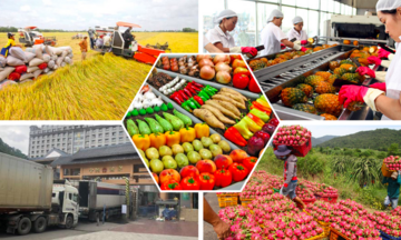 Xuất khẩu nông, lâm, thủy sản 8 tháng tăng 12%