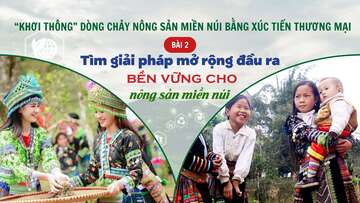 Longform | Tiêu thụ nông sản miền núi bằng xúc tiến thương mại: Bài 2 