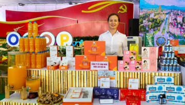 Curcumin Bắc Hà: Hiệu quả từ sản xuất đến giảm nghèo bền vững