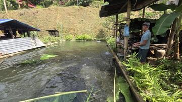 Thanh Hóa: Lão nông dân tộc Thái đổi đời nhờ nuôi loài cá đặc sản