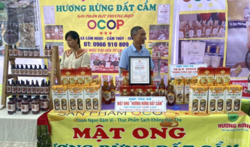 Thanh Hóa: Phát triển kinh tế tập thể, hợp tác xã công nghệ cao