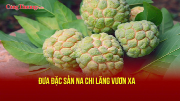 Đưa đặc sản na Chi Lăng vươn xa