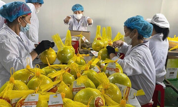 Chuẩn hóa bằng khoa học, nông sản miền núi chiếm lĩnh thị trường