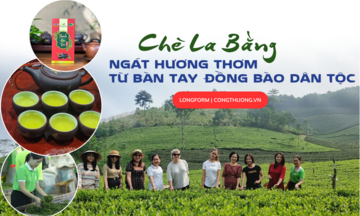 Longform | Chè La Bằng: Ngát hương thơm từ bàn tay đồng bào dân tộc