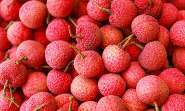 Xuất khẩu vải thiều của Việt Nam gấp ba lần, cán mốc 80 triệu USD