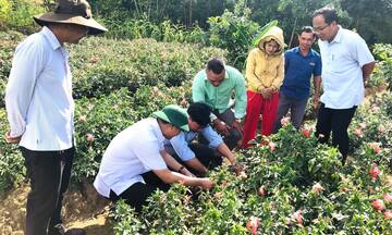 A Lưới 4 đẩy mạnh phát triển đa ngành để giảm nghèo bền vững