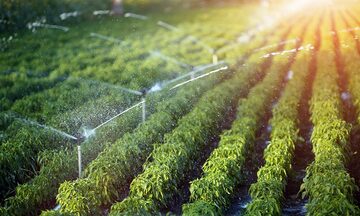 33 quốc gia, vùng lãnh thổ dự hội nghị Hữu cơ châu Á tại Việt Nam