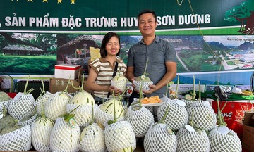 Tuyên Quang: Định vị thương hiệu nông nghiệp, mở lối giảm nghèo 