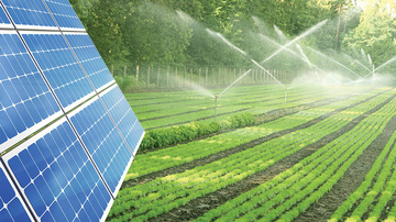 Agri-PV kết hợp nông nghiệp và năng lượng sạch cho phát triển bền vững