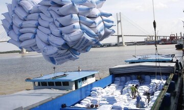 Thủ tướng giao Bộ Công Thương đa dạng hóa thị trường xuất khẩu gạo