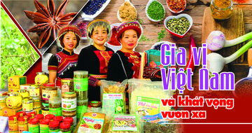 Longform | Gia vị Việt Nam và khát vọng vươn xa