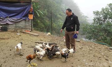 Thanh Hóa: Khi người Mông thoát nghèo từ thương hiệu OCOP gà đen