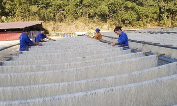 Cao Bằng nỗ lực giảm nghèo: Sinh kế vững chắc, đời sống nâng cao