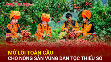 Mở lối toàn cầu cho nông sản vùng dân tộc thiểu số