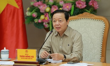 Phó Thủ tướng: Bộ Công Thương phối hợp các địa phương phát triển hạ tầng xanh