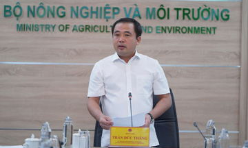 Bộ Nông nghiệp và Môi trường: Xuất khẩu gạo không chịu tác động lớn