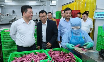 Bộ trưởng Nguyễn Hồng Diên làm việc tại Công ty cổ phần Viên Sơn (Lâm Đồng)