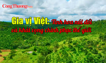 Gia vị Việt: Tinh hoa núi đồi và khát vọng chinh phục thế giới