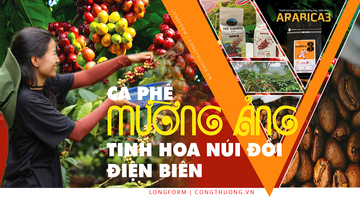 Longform | Cà phê Mường Ảng: Tinh hoa núi đồi Điện Biên