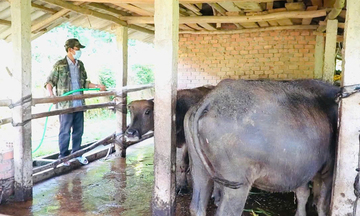 Quảng Ngãi: Lan toả tinh thần phát triển kinh tế, giảm nghèo bền vững
