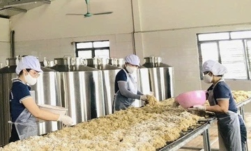 Quảng Ninh: Xây dựng thương hiệu OCOP bền vững, hội nhập