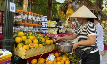 Lào Cai xây dựng thương hiệu nông sản cho bà con dân tộc