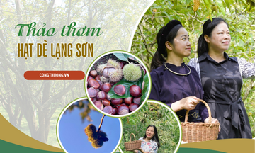 Longform | Thảo thơm hạt dẻ Lạng Sơn