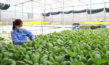 Đổi mới sản xuất, mở lối giảm nghèo bền vững