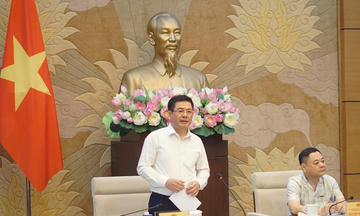 Ủy ban Kinh tế và Tài chính thẩm tra sơ bộ dự án Luật Thương mại điện tử