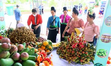 Doanh nghiệp: Chủ lực kiến tạo thị trường cho nông sản vùng cao