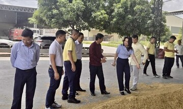 PVCFC tăng tốc mở rộng thị phần tại Campuchia