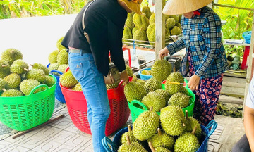 Cần Thơ: Thúc đẩy nông nghiệp chuyên canh hướng đến xuất khẩu bền vững