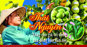 Longform | Thái Nguyên: Nâng cao giá trị nông sản đồng bào dân tộc