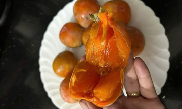 Hồng Bảo Hà - Lối thoát nghèo từ đất thiêng Lào Cai