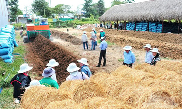 Cần Thơ biến rơm rạ thành 'vàng nâu', mở lối thoát nghèo bền vững