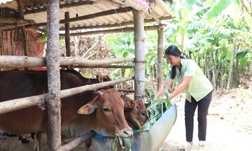 Lạng Sơn tạo chuyển biến mạnh mẽ trong giảm nghèo bền vững