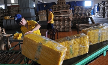 Việt Nam chi gần 2 tỷ USD nhập khẩu cao su trong 8 tháng đầu năm