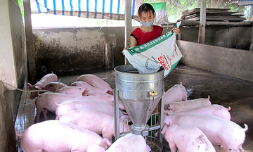 Phú Thọ hướng tới mục tiêu xóa sạch hộ nghèo vào năm 2030