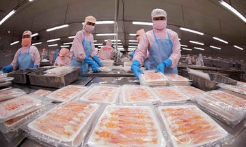 Tin Công Thương 17/9: Xuất khẩu thủy sản Việt Nam vượt khó và bứt phá