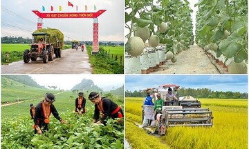 Khát vọng thoát nghèo bền vững ở Thái Nguyên