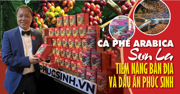 Longform | Cà phê Sơn La: Tiềm năng bản địa và dấu ấn Phúc Sinh