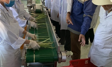 Xây dựng công trình tạm trên đất nông nghiệp: Mừng và lo