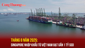 Tháng 8/2025: Singapore nhập khẩu từ Việt Nam đạt gần 1 tỷ SGD