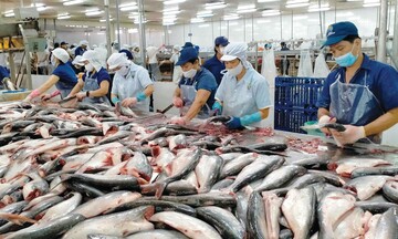 Thị trường Nhật Bản tăng nhập khẩu thủy sản từ Việt Nam