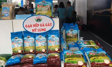 Đồng bào Mường Phú Thọ nâng tầm thương hiệu Nếp Gà Gáy Mỹ Lung