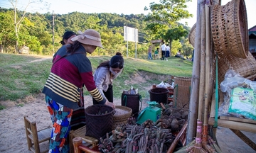 Quảng Trị: Đồng bộ chính sách, giúp hàng nghìn hộ dân thoát nghèo